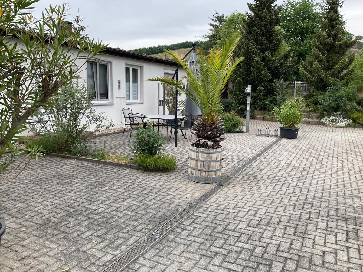 Ferienwohnung Mitko راديبول المظهر الخارجي الصورة